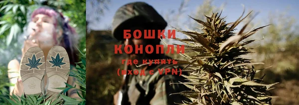 стаф Белоозёрский