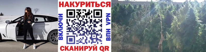 купить наркотик  Дубовка  Марихуана планчик 